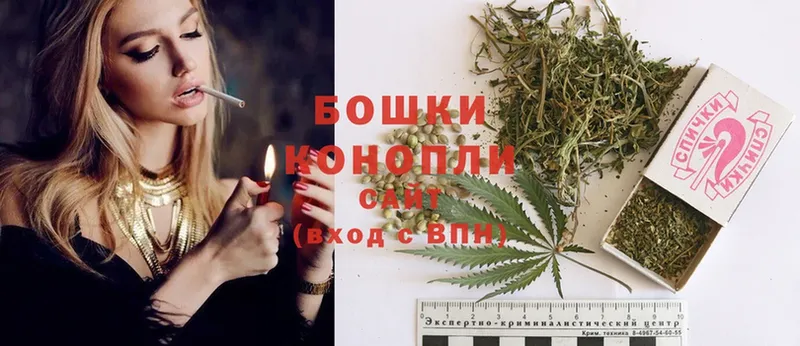 Бошки Шишки SATIVA & INDICA  где купить   Тарко-Сале 